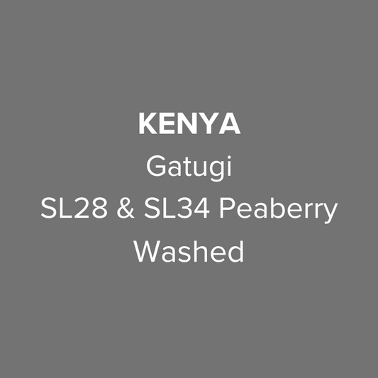 Kenya Nyeri Gatugi SL28 & SL34 Peaberry Washed