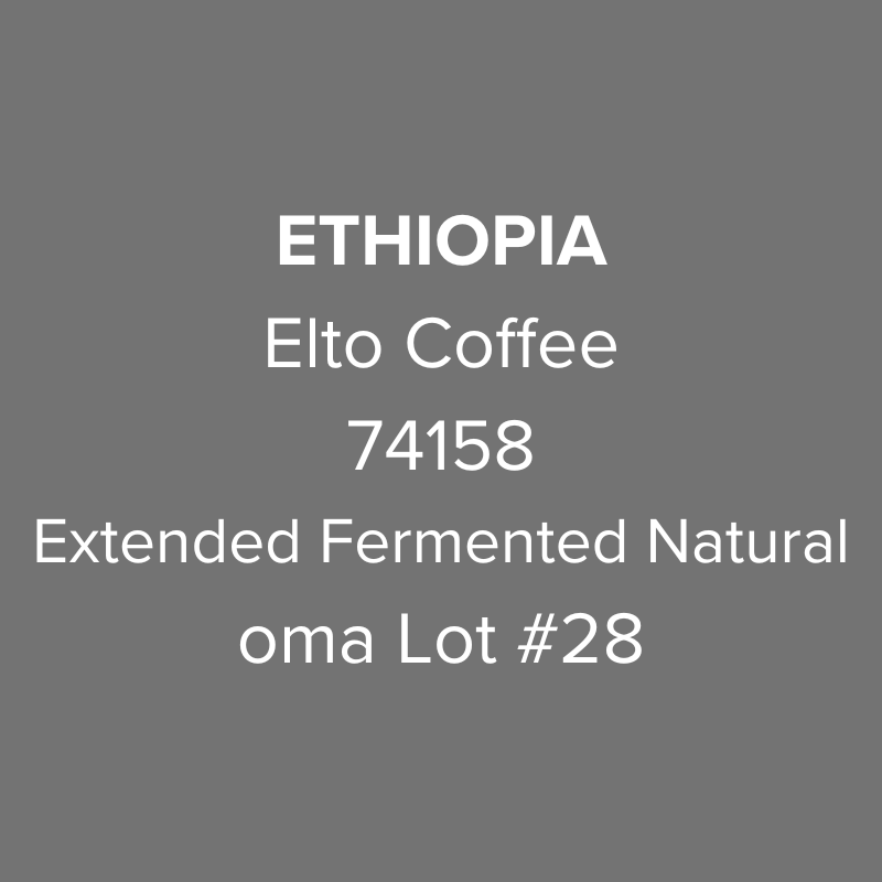 Photo of Ethiopia Elto Coffee Sidama Bare 74158 Extended Fermented Natural oma Lot #28
