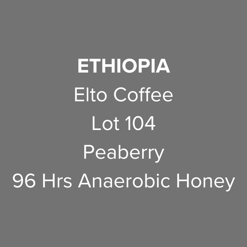 Ethiopia Elto Coffee Sidama Arbegona Peaberry 96 Hrs Anaerobic Honey Lot 104