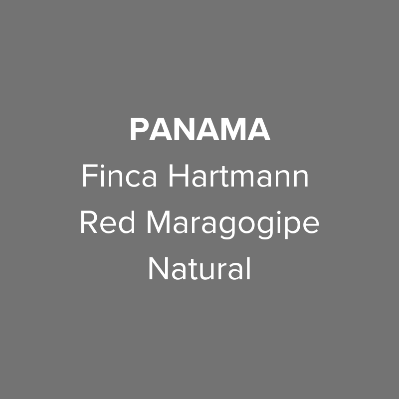 Panama Finca Hartmann Red Maragogipe Natural