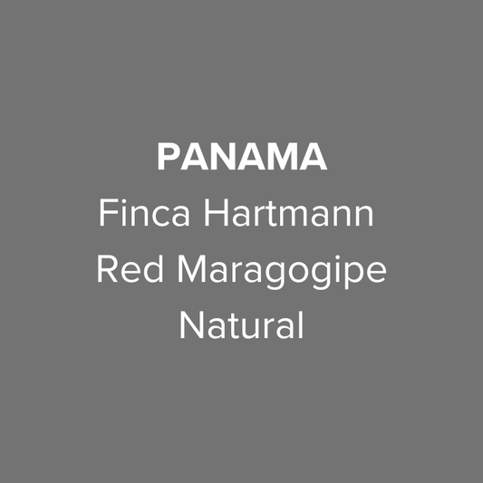 Panama Finca Hartmann Red Maragogipe Natural