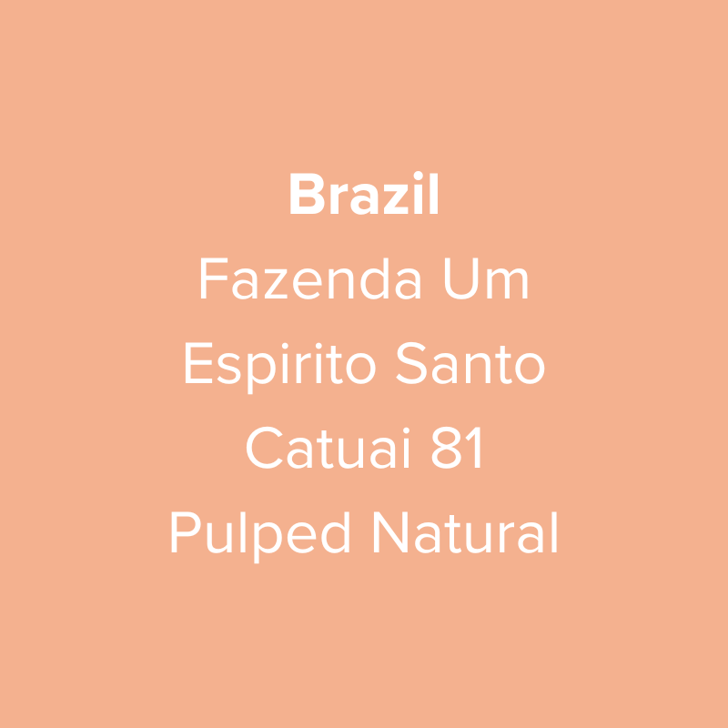 Brazil Fazenda Um Espirito Santo Catuai 81 Pulped Natural