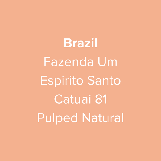 Brazil Fazenda Um Espirito Santo Catuai 81 Pulped Natural