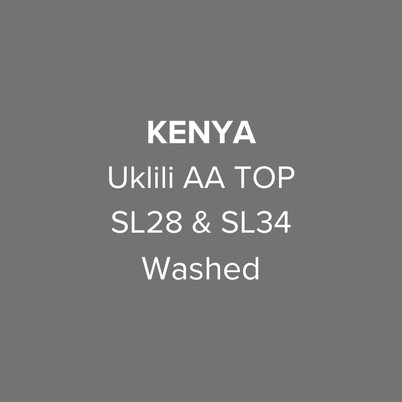 Kenya Nyeri Uklili AA TOP SL28 & SL34 Washed