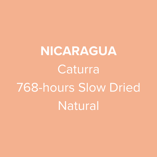 Nicaragua Finca La Venus 768-hours Slow Dried Caturra Natural