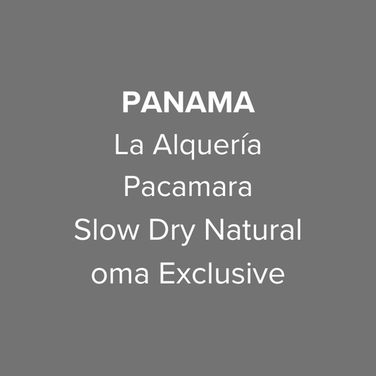 Panama Abbraccio by Altieri Finca La Alquería Pacamara Slow Dry Natural