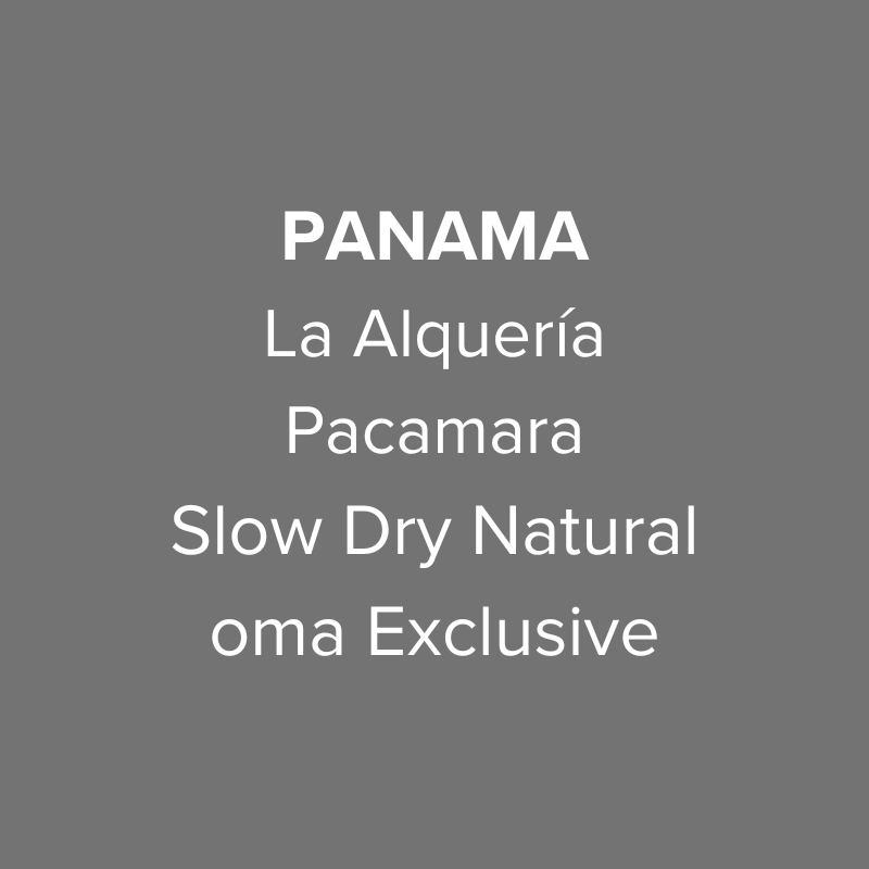 Photo of Panama Abbraccio by Altieri Finca La Alquería Pacamara Slow Dry Natural