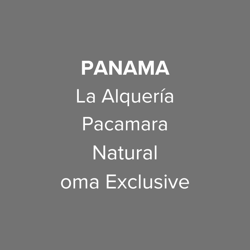 Panama Abbraccio Finca La Alquería Pacamara Natural