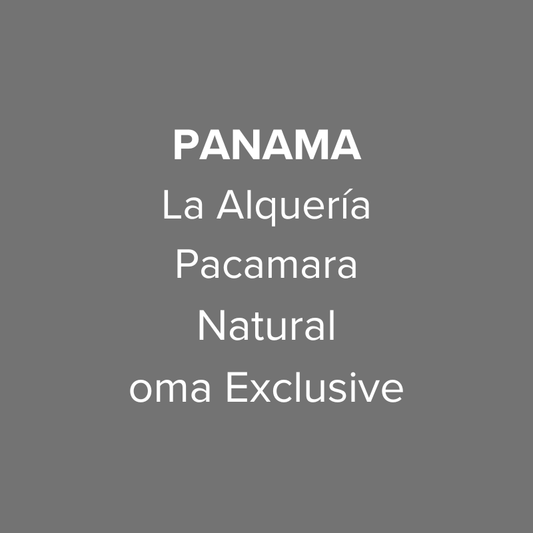 Panama Abbraccio Finca La Alquería Pacamara Natural