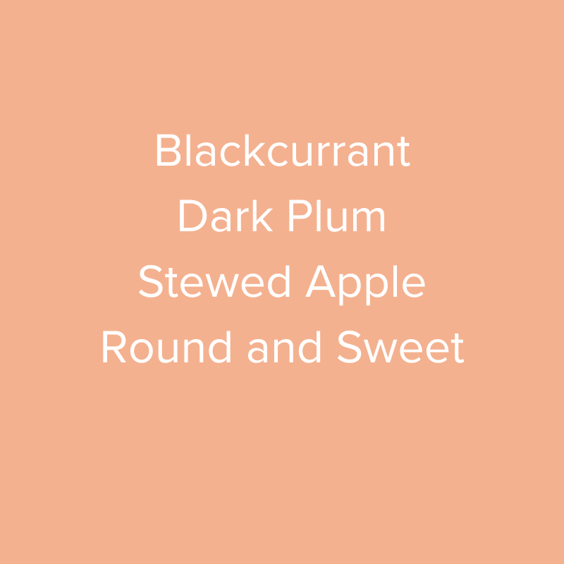 Kenya Nyeri Gaikundo SL28 & SL34 Natural