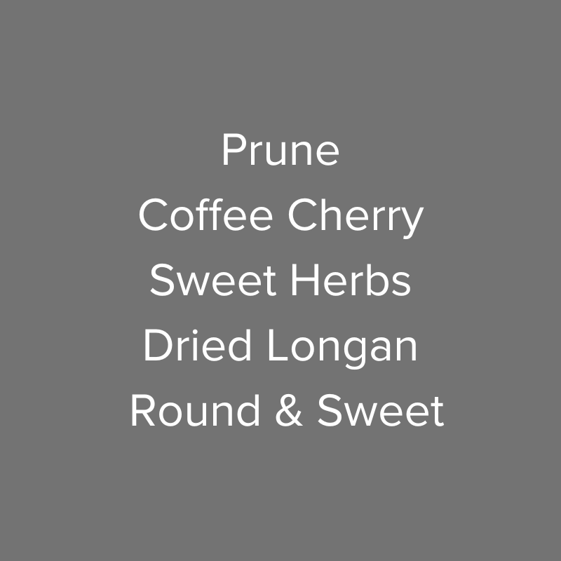 Panama Finca Hartmann Red Maragogipe Natural