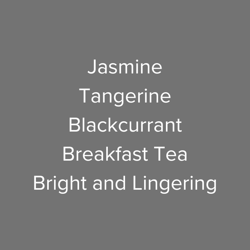 Panama Franceschi Geisha Natural Lot GN202