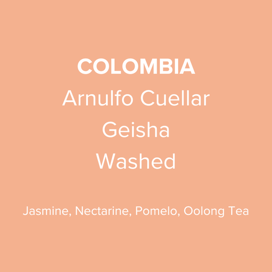 Colombia Arnulfo Cuellar Geisha Washed