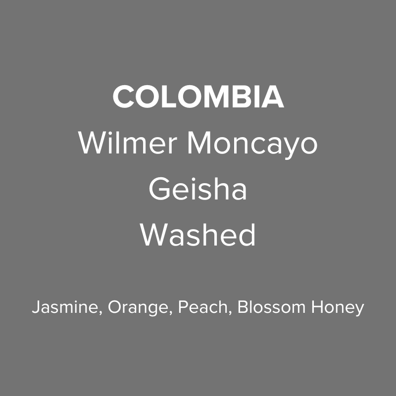 Colombia Wilmer Moncayo Geisha Washed