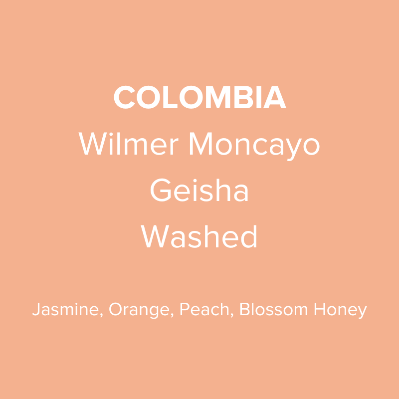 Colombia Wilmer Moncayo Geisha Washed