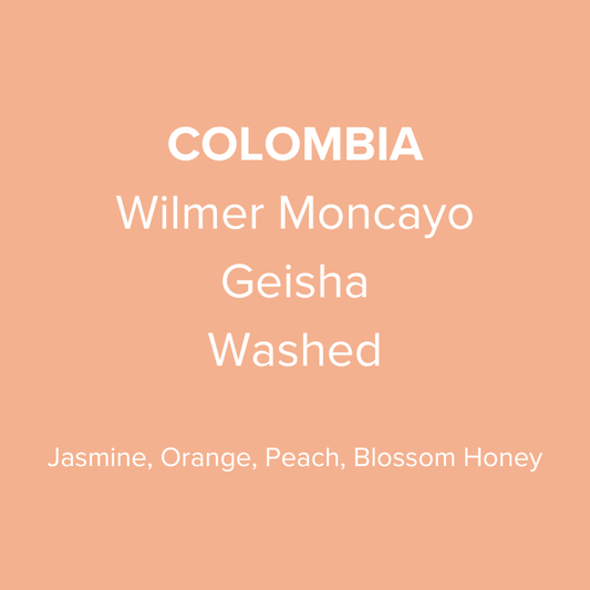Colombia Wilmer Moncayo Geisha Washed