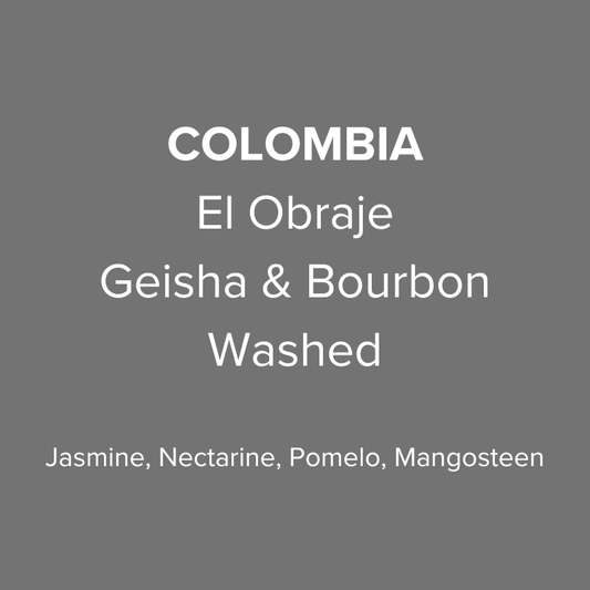 Colombia El Obraje Geisha & Bourbon Washed