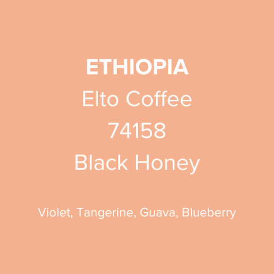 Ethiopia Elto Coffee Sidama Bare Station 74158 Black Honey
