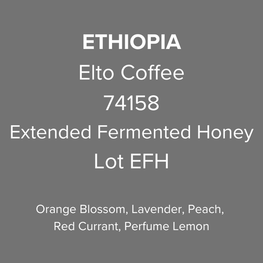 Ethiopia Elto Coffee Sidama Elora Station 74158 Extended Fermented Honey Lot EFH