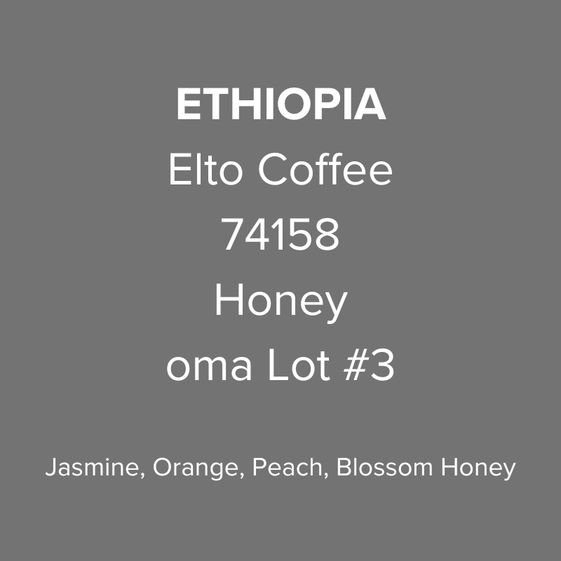 Ethiopia Elto Coffee Sidama Sama Station 74158 Honey oma Lot #3