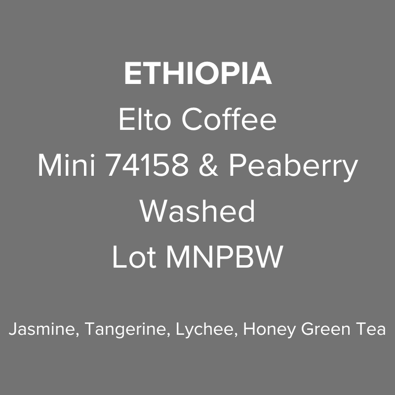 Ethiopia Elto Coffee Sidama Elora Station Mini 74158 & Peaberry Washed Lot MNPBW