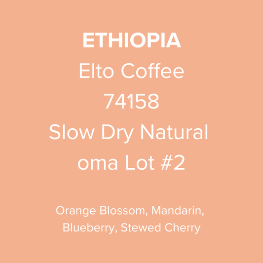 Ethiopia Elto Coffee Sidama Bare Station 74158 Slow Dry Natural oma Lot #2