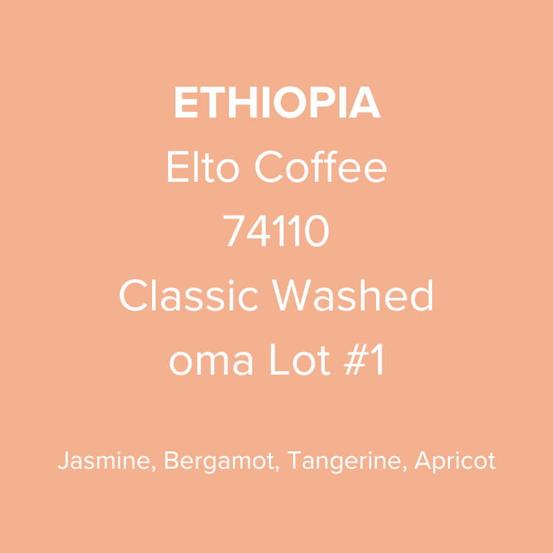 Ethiopia Elto Coffee Sidama Bona 74110 Classic Washed oma Lot #1