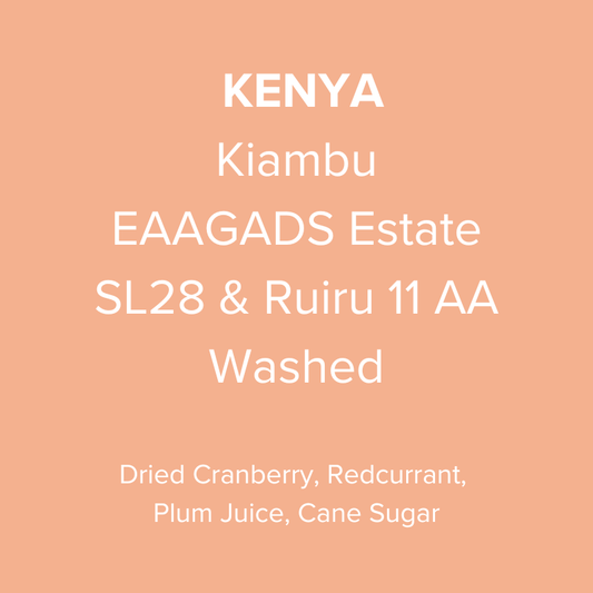 Kenya Kiambu EAAGADS Estate SL28 & Ruiru 11 Washed AA TOP