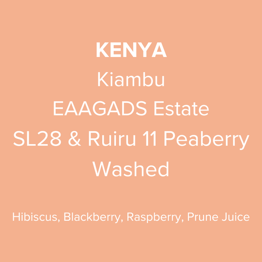 Kenya Kiambu EAAGADS Estate SL28 & Ruiru 11 Peaberry Washed PB TOP