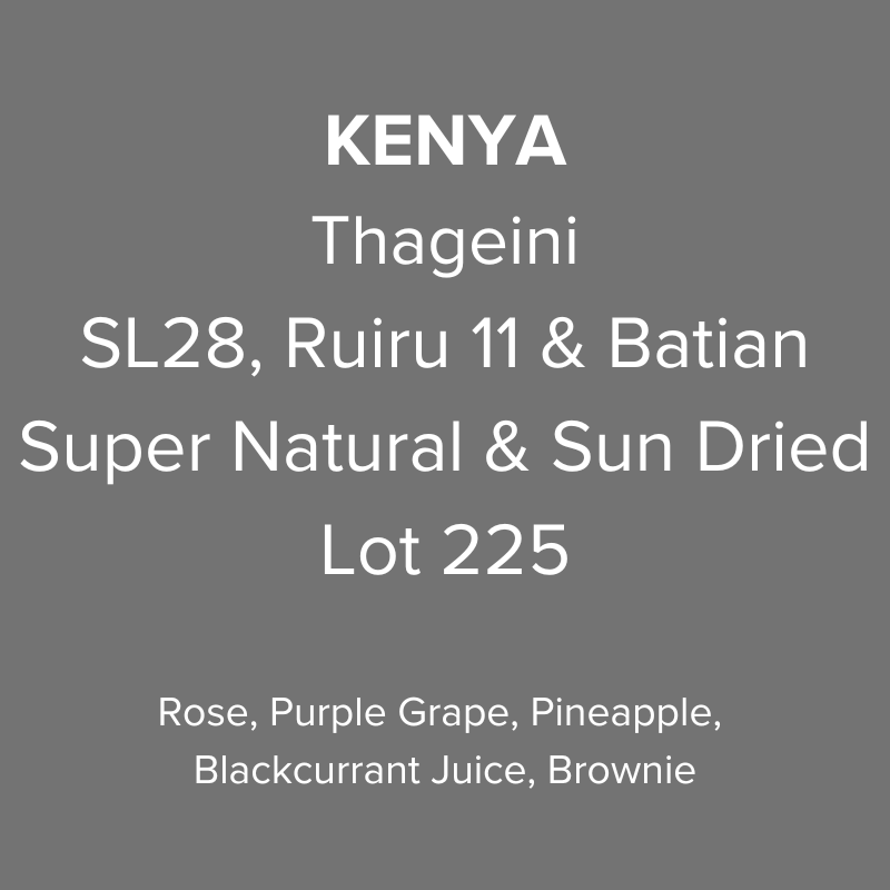 Kenya Nyeri Thageini SL28, Ruiru 11 & Batian Super Natural & Sun Dried