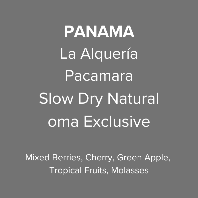 Panama Abbraccio by Altieri Finca La Alquería Pacamara Slow Dry Natural