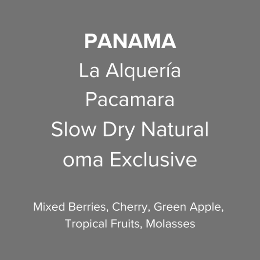 Panama Abbraccio by Altieri Finca La Alquería Pacamara Slow Dry Natural