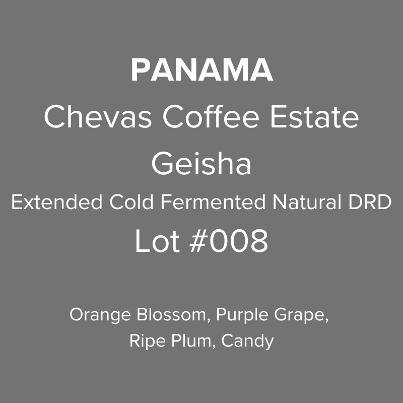 Panama Chevas Coffee Estate Geisha Extended Cold Fermented Natural Dark Room Drying Lot #008