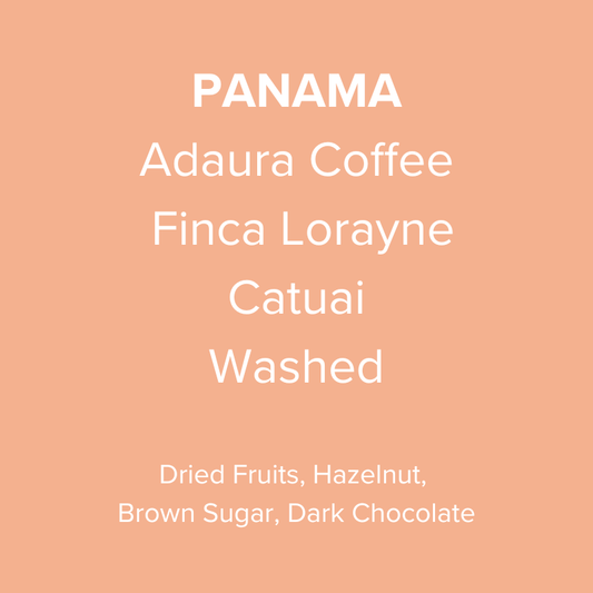 Panama Adaura Coffee Catuai Washed