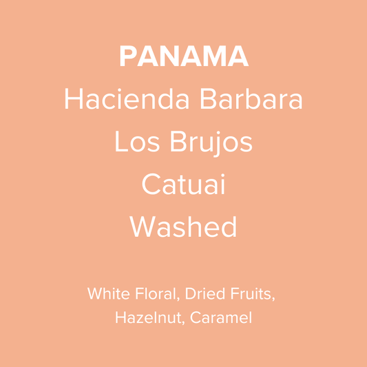 Panama Hacienda Barbara Los Brujos Catuai Washed