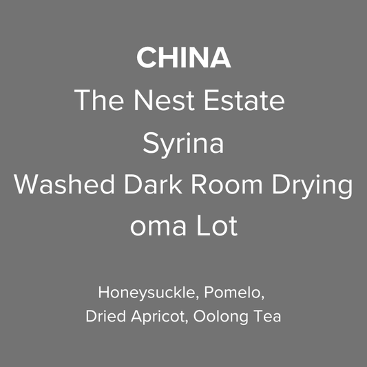 China Yunnan The Nest Estate Syrina Washed Dark Room Drying oma Lot